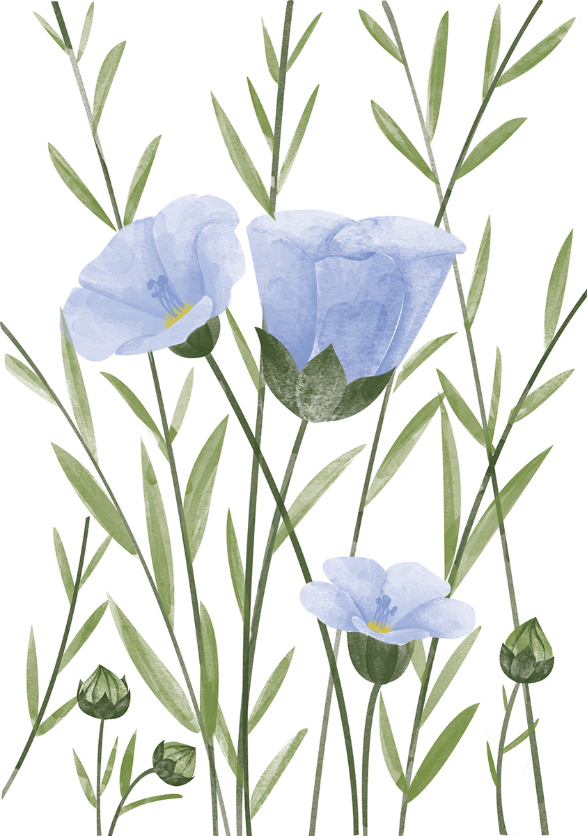 Lin by Emelie Zetterberg