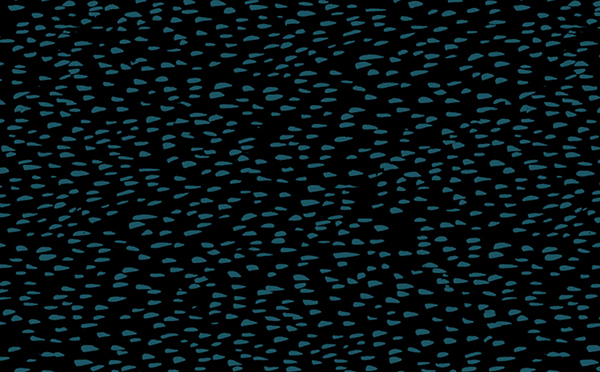 Midnattsorkestern by Emelie Zetterberg