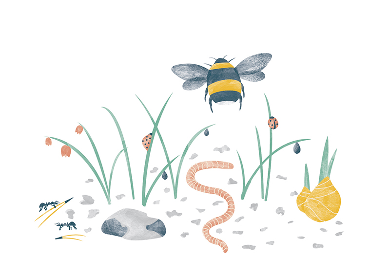 Illustration by Emelie Zetterberg